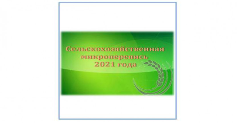 Правительство Российской Федерации утвердило дату предстоящей сельскохозяйственной микропереписи